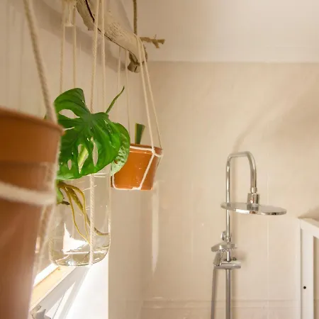 Lemontree Eco Surfhouse Gasthuis