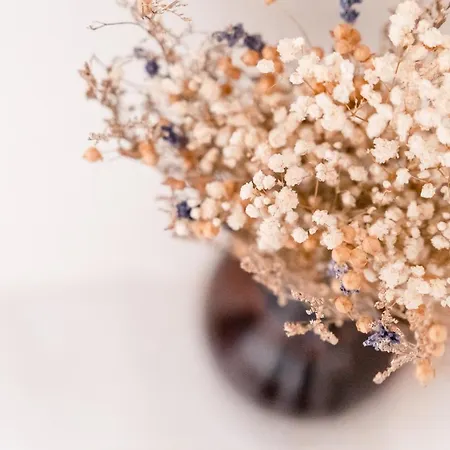 Lemontree Eco Surfhouse Gasthuis *