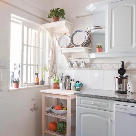 Lemontree Eco Surfhouse