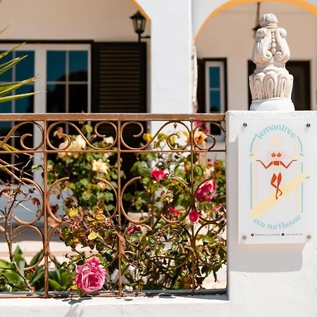 Lemontree Eco Surfhouse