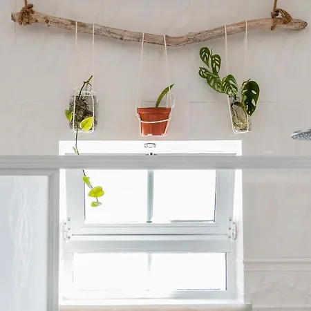 Gasthof Lemontree Eco Surfhouse