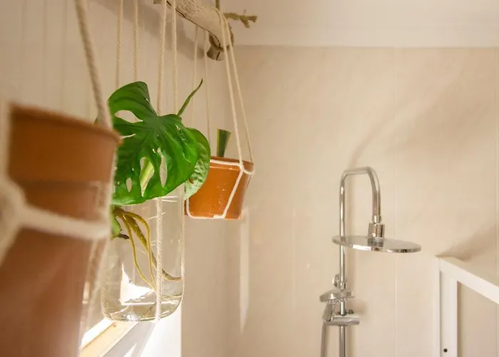 Lemontree Eco Surfhouse Gasthof